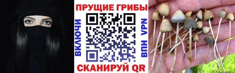 дарнет шоп  ОМГ ОМГ сайт  Галлюциногенные грибы мицелий  Уварово 